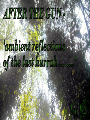 cover image of After the Gun